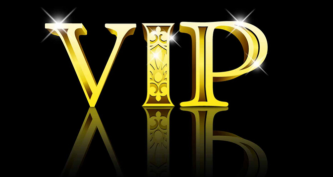.vip域名注册价格(域名vip是什么意思)